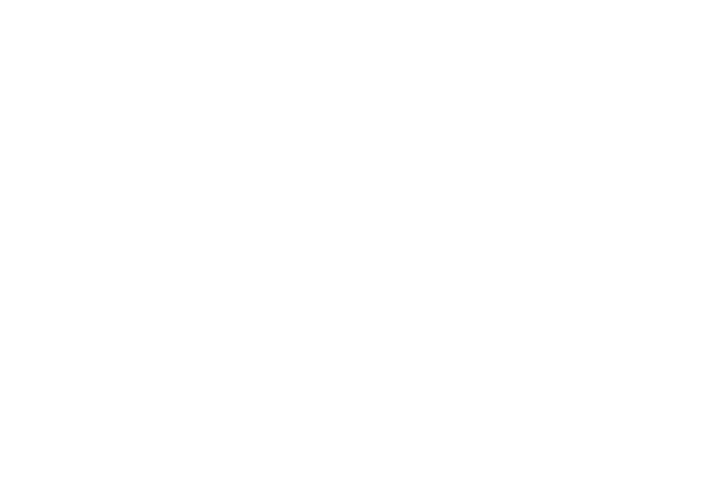 Waves Festival
